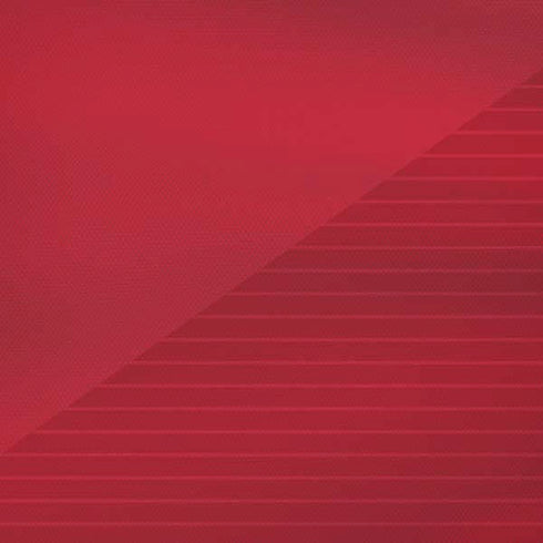 Poland Soccer Flag iPhone XS Skin
